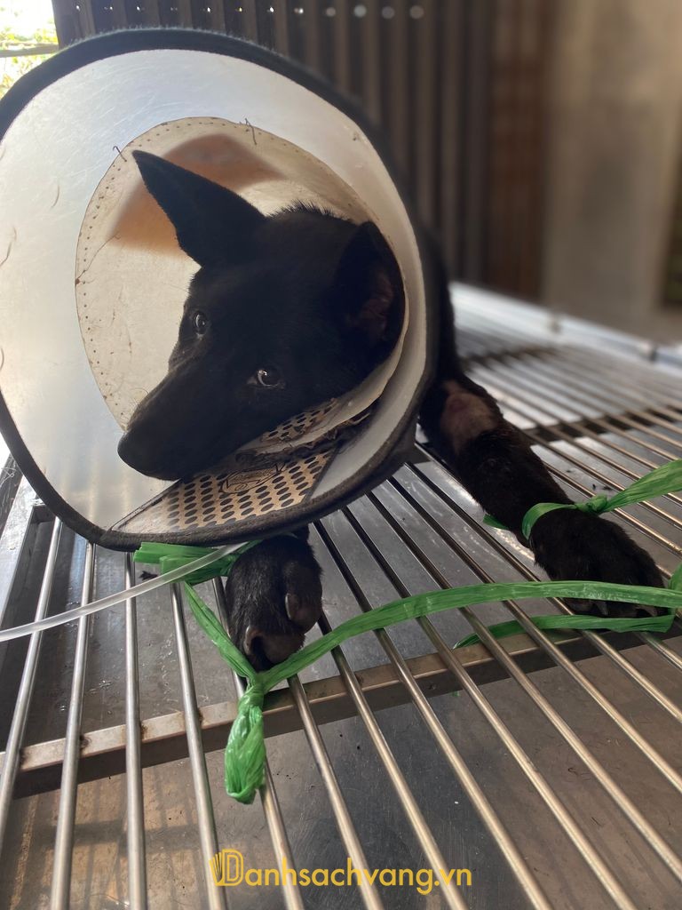 Phòng khám thú y Hải Lăng Vet ở Quảng Trị