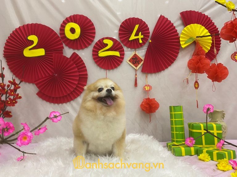 Phòng khám thú y Đông Hà City Pet tại Quảng Trị