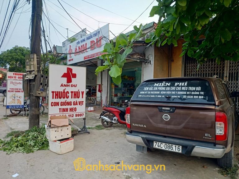 Phòng khám thú y Vĩnh Linh Pet tại Quảng Trị