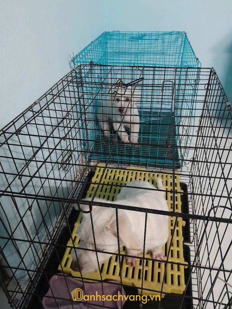 Phòng khám thú y Phú Tiền ở Gò Dầu Tây Ninh