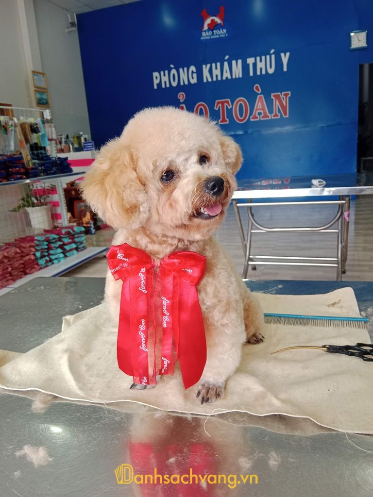 Phòng khám thú y Bảo Toàn Pet tại Tây Ninh