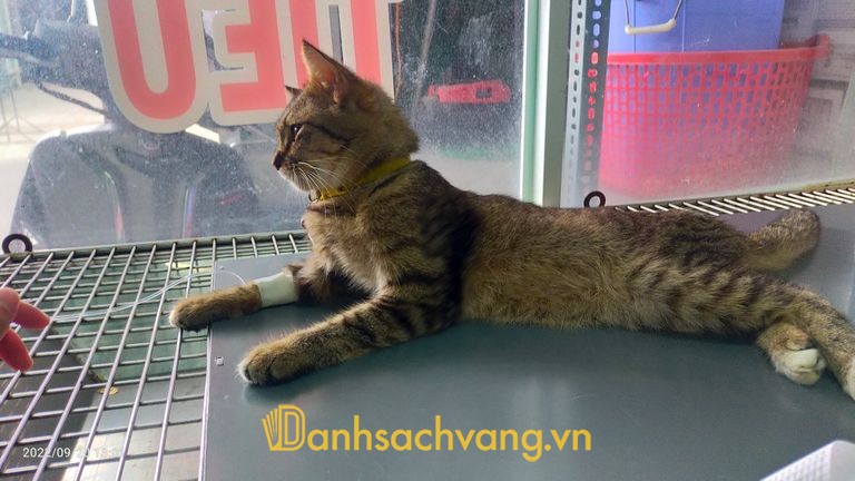 Phòng khám thú y PET tại Tây Ninh