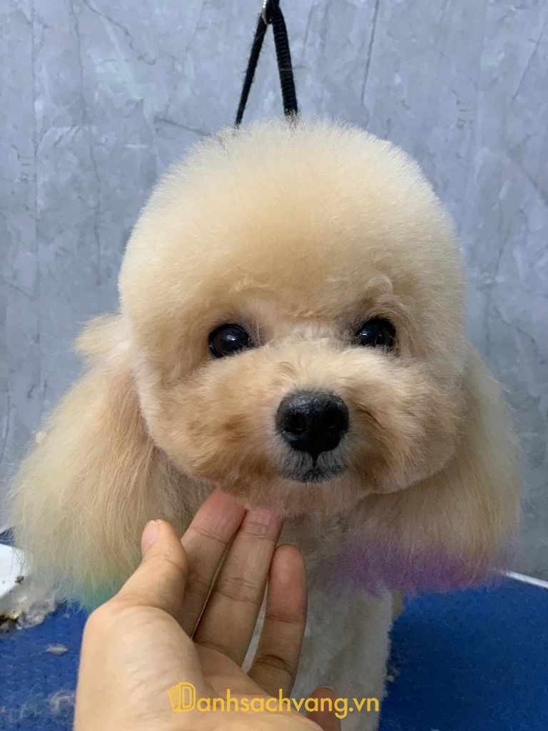 Bệnh viện Thú y Thái Nguyên PETTHAI trên đường Bến Oánh
