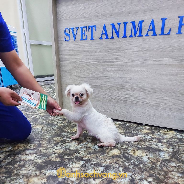 Bệnh Viện Thú Y SVET Thái Nguyên tại đường Bắc Kạn