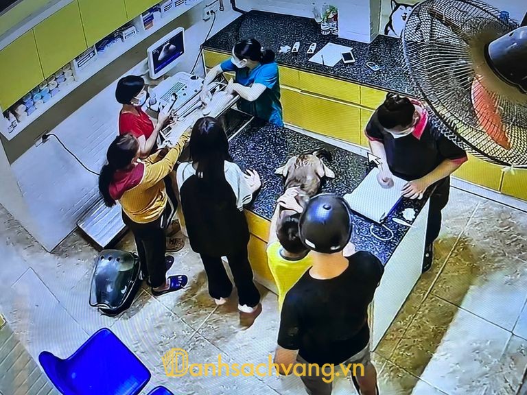 Phòng khám thú y Vnpet Gang Thép tại Gia Sàng Thái Nguyên