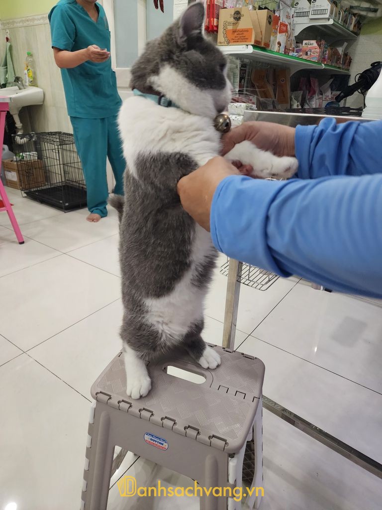 Phòng Khám Thú Y PUP tại TPHCM
