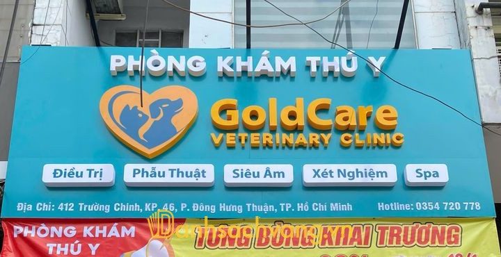 10 Phòng khám thú y ở TPHCM uy tín, dịch vụ đa dạng