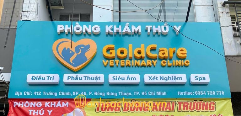Gold Care - phòng khám thú y ở TPHCM