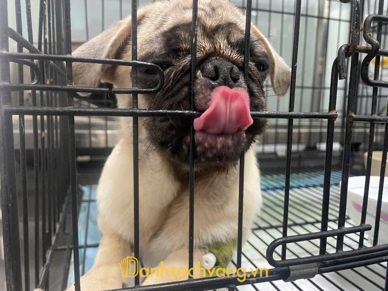 NH PET - phòng khám thú y tại TPHCM