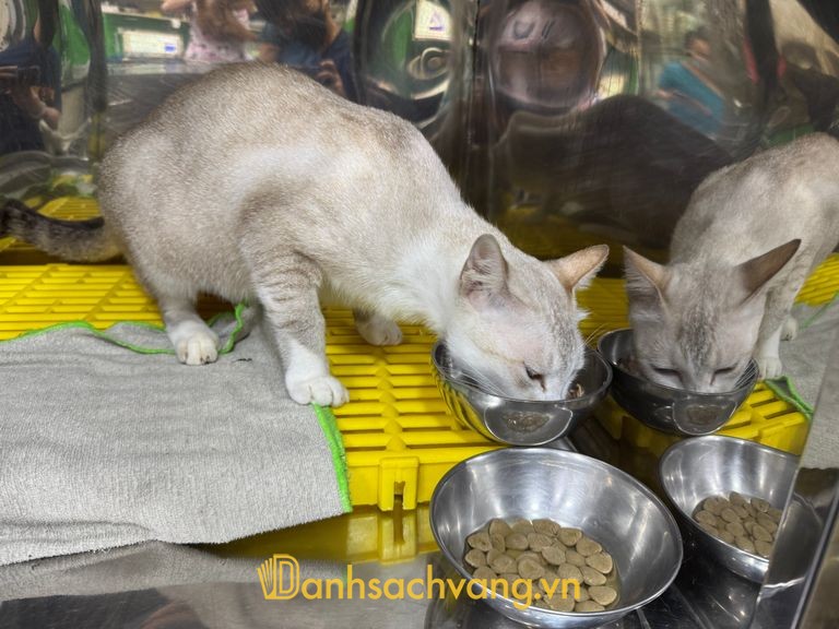Phòng Khám Thú Y Chợ Lớn ở TPHCM