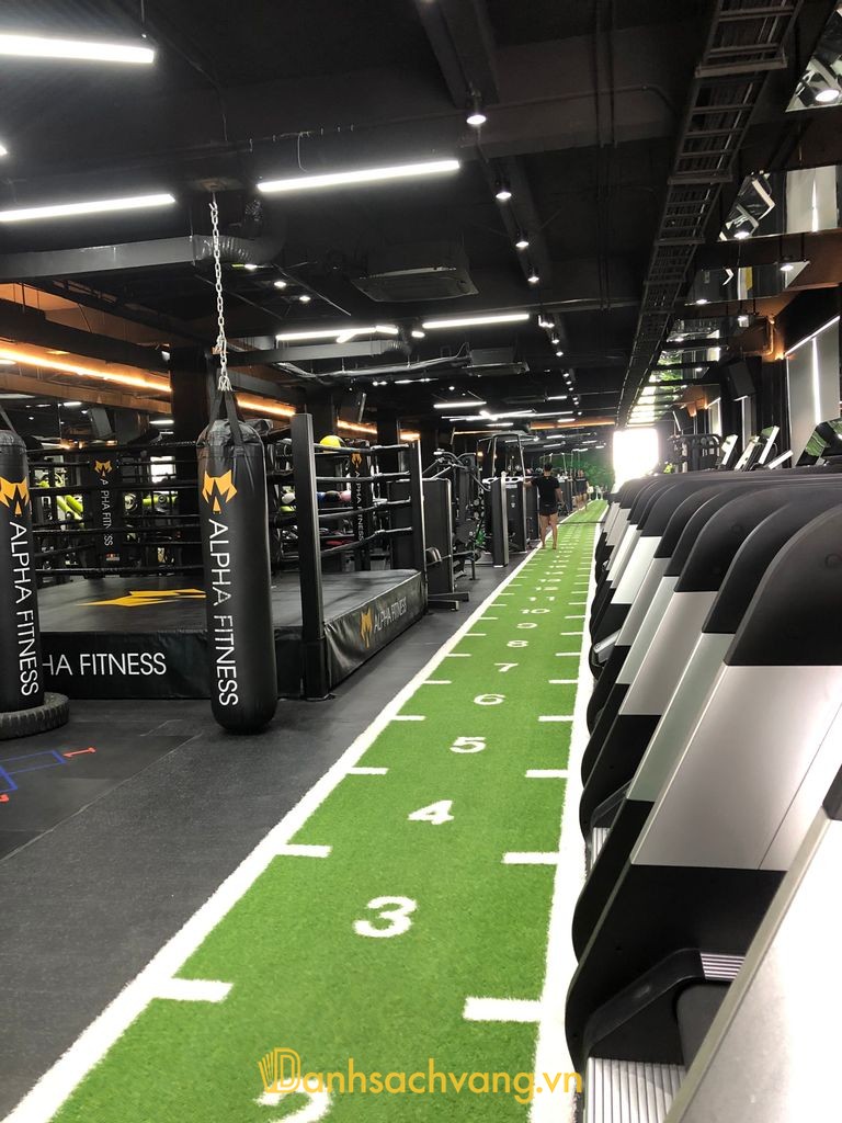 ALPHA FITNESS & YOGA CENTER ở Hưng Yên