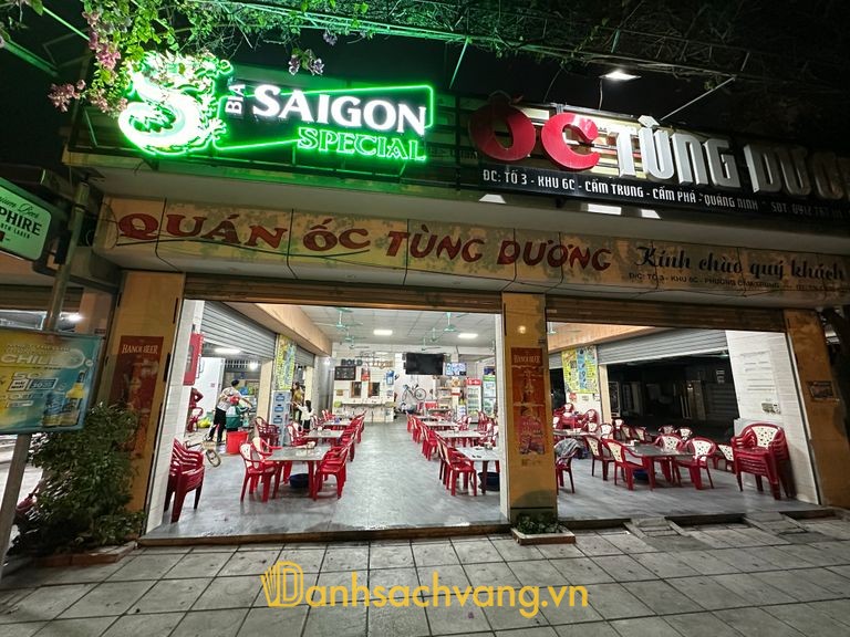 Ốc Tùng Dương Cẩm Phả Quảng Ninh