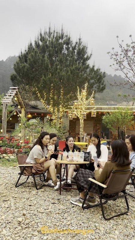 Tiệm Coffee - Trà Sữa Nấu Đậm Vị tại Hạnh Phúc, Lào Cai