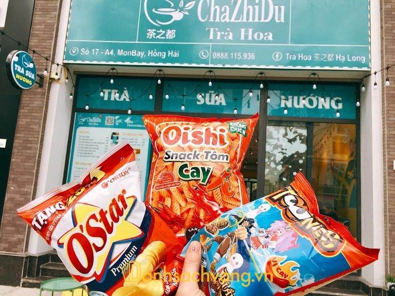 CHAZHIDU HẠ LONG