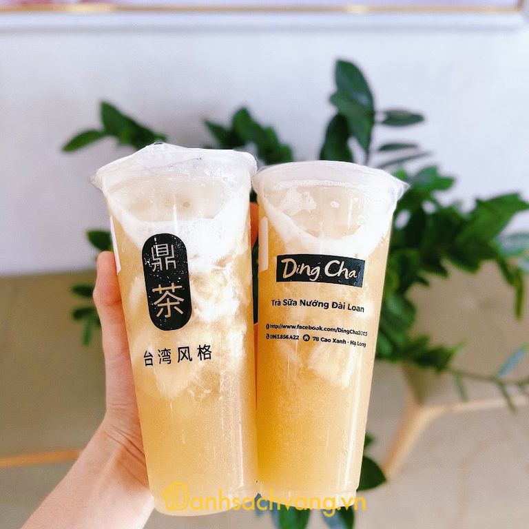 DINGCHA Trà Sữa Nướng Đài Loan Cao Xanh