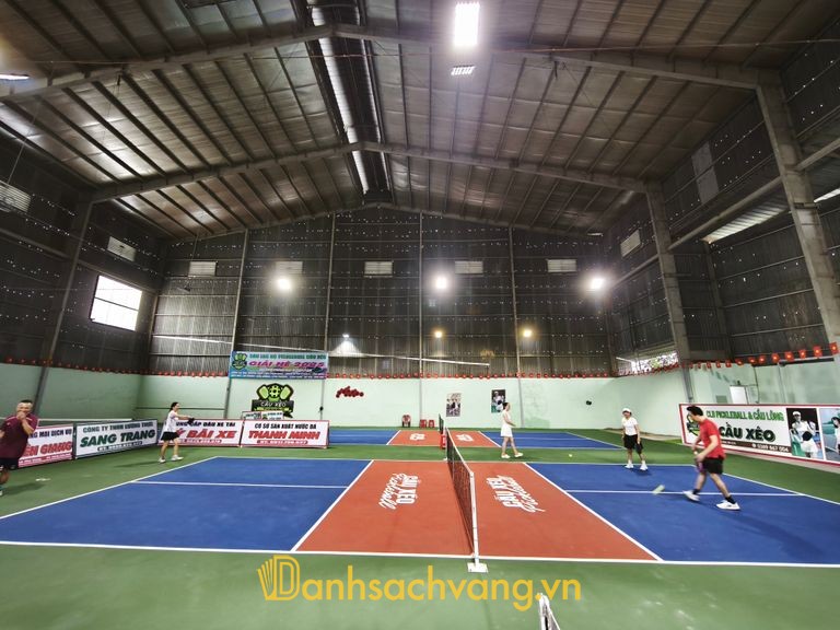 CLB PICKLEBALL Cầu Xéo tại Đồng Tháp
