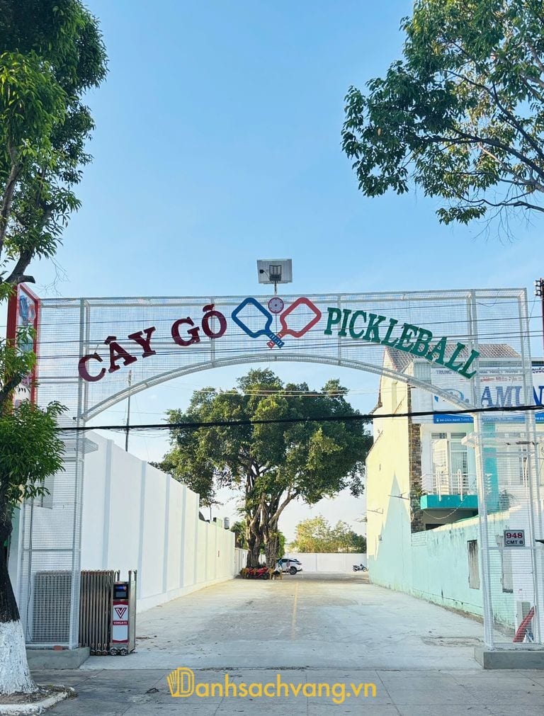 Cây Gõ Pickleball tại phường Tân Ninh