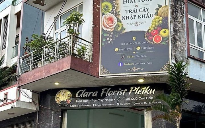 7 Shop giỏ quà trái cây ở Gia Lai uy tín, hỗ trợ giao tận nơi