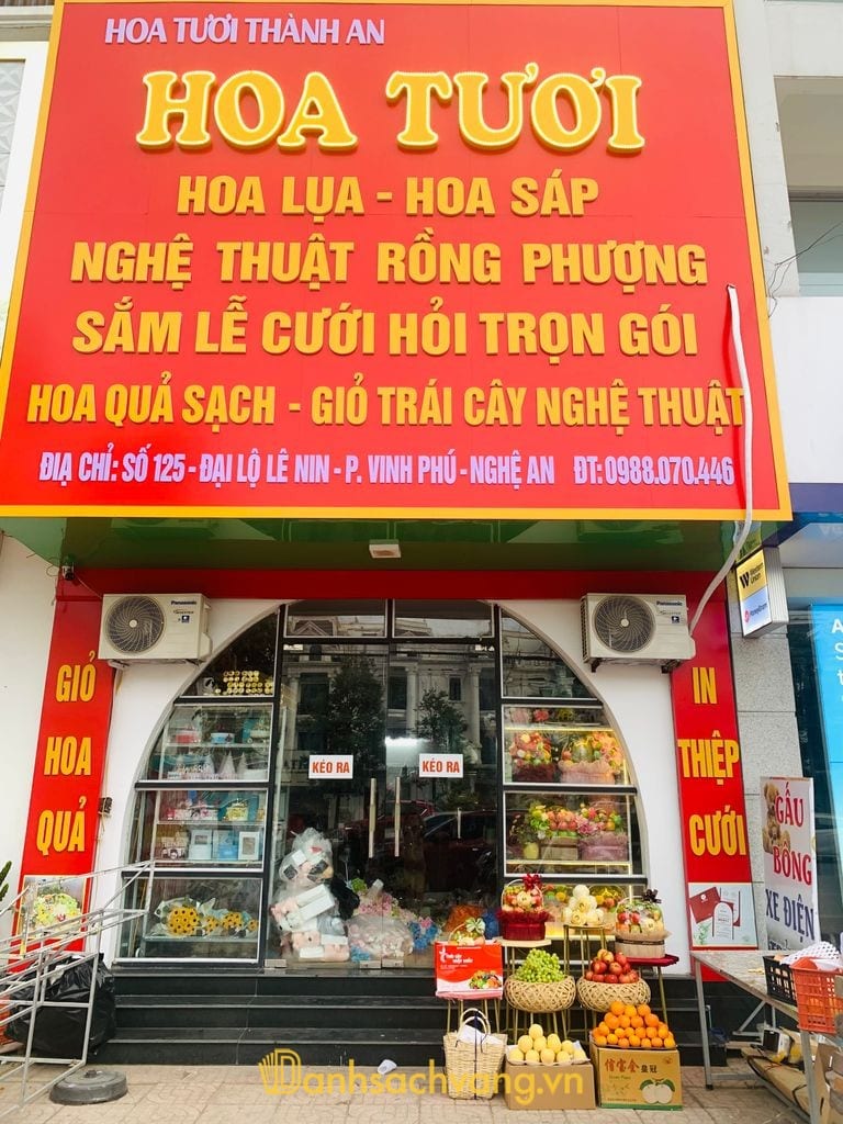 Thành An Fruits - shop giỏ quà trái cây ở Nghệ An
