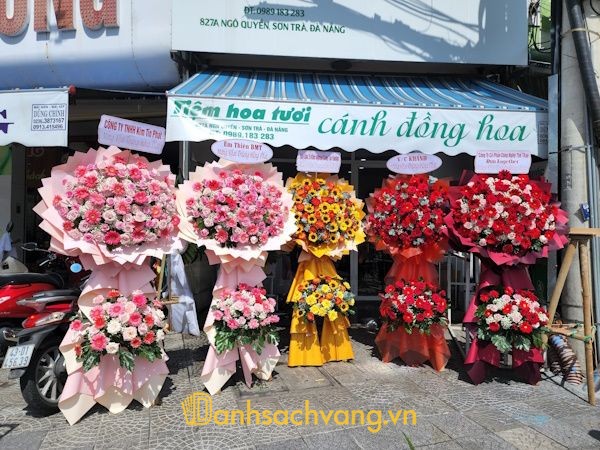 Cánh Đồng Hoa - 37 Hoàng Dư Khương, Cẩm Lệ