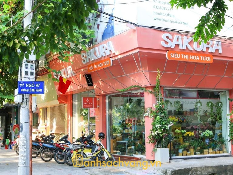 Sakura Flower - 97 Lê Đại Hành, Hoa Lư