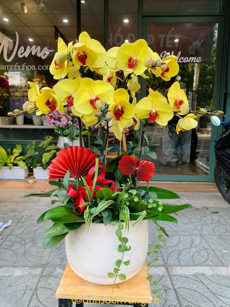 Shop Hoa Tươi Giá Rẻ Thanh Hóa-Florist – 75 Nguyễn Du, Phường Sầm Sơn