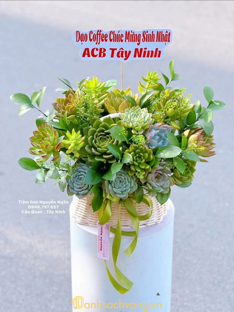 Hoa Tươi, Hoa Sáp Tây Ninh Nguyễn Ngân – 289 Cách Mạng Tháng Tám, Khu phố 2, Tân Ninh