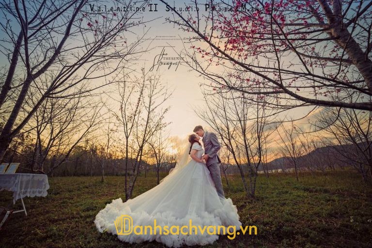 Valentine II - studio chụp ảnh cưới ở Điện Biên phong cách lãng mạn