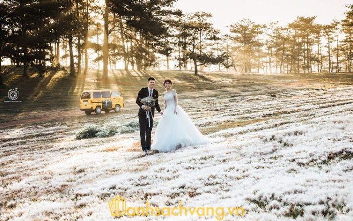 10 Studio chụp ảnh cưới ở Lâm Đồng uy tín, ê-kíp chuyên nghiệp