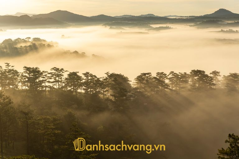 Dati Studio chụp ảnh cưới Đà Lạt