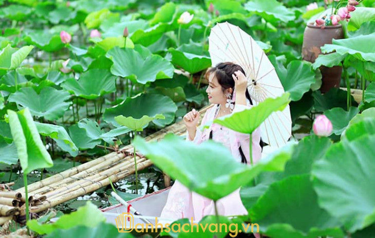 Nếu có cơ hội thì hãy du thuyền trên ao sen và chụp ảnh sống ảo nhé